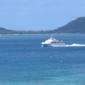 carriacou feb 09 089