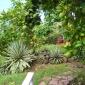 Bungalow7