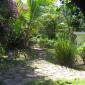 carriacou feb 09 074